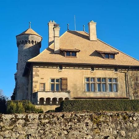 Le Duc Apartment Thonon-les-Bains Bagian luar foto