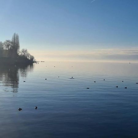 Le Duc Apartment Thonon-les-Bains Bagian luar foto