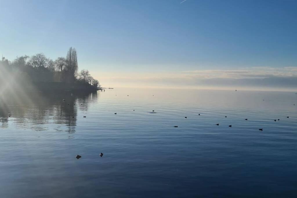 Le Duc Apartment Thonon-les-Bains Bagian luar foto